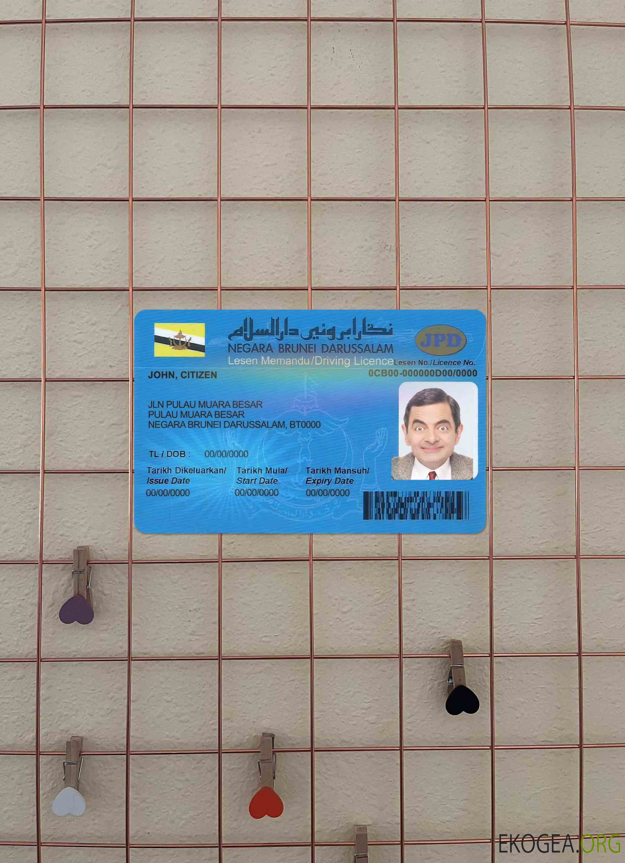 Photolook du permis de conduire de Brunei AVANT